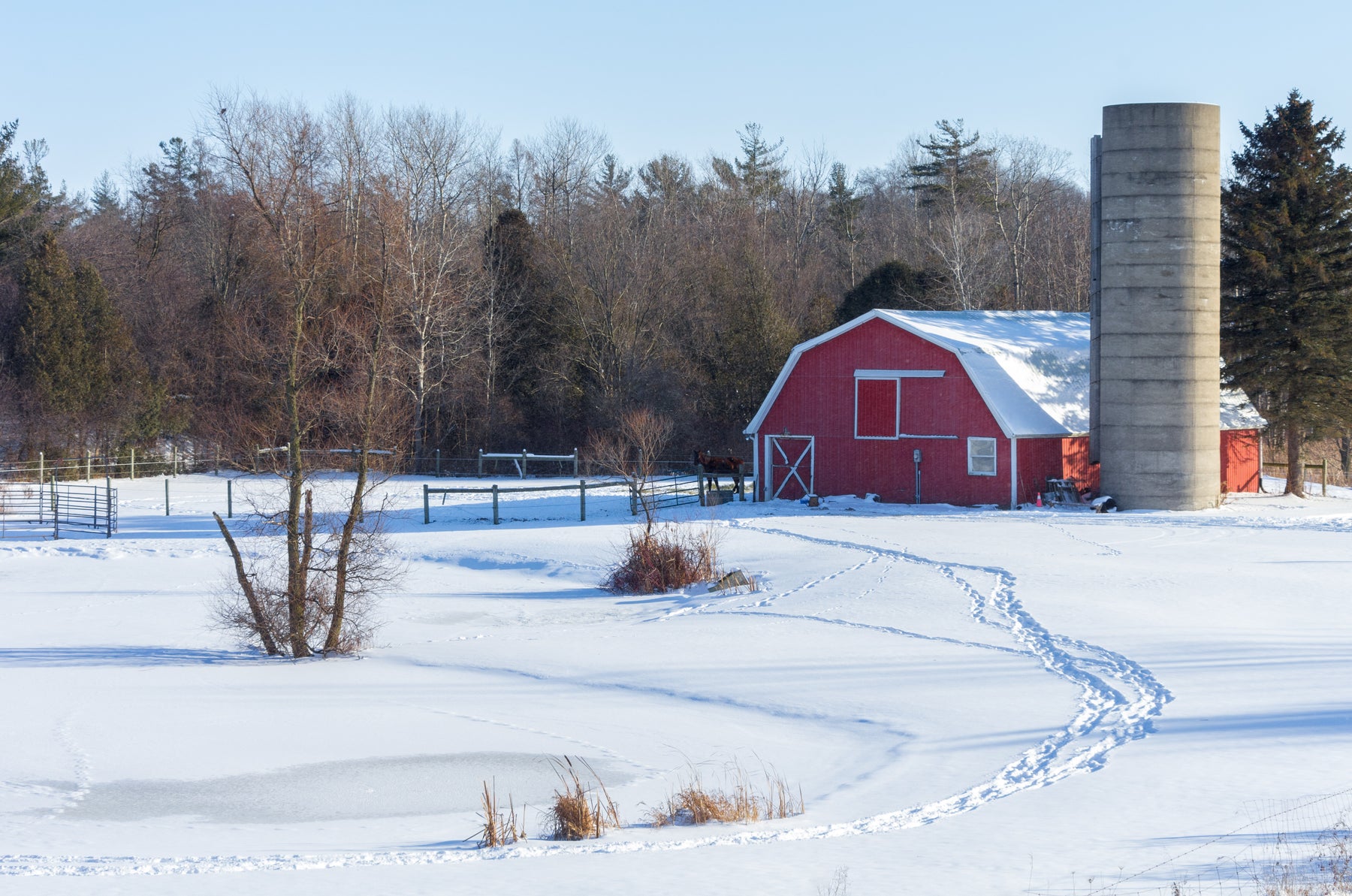 (UPDATED) 5 Steps To Prepare Your Baler For Winter Storage