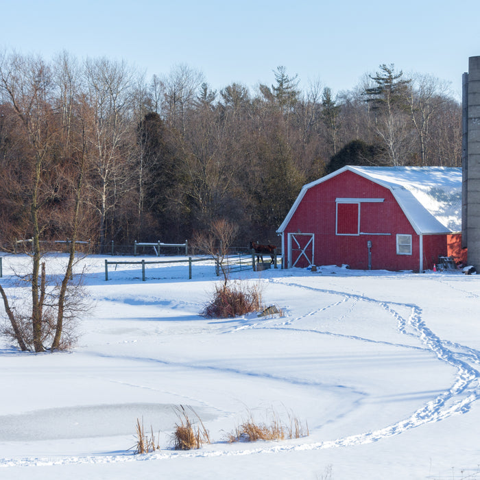 (UPDATED) 5 Steps To Prepare Your Baler For Winter Storage